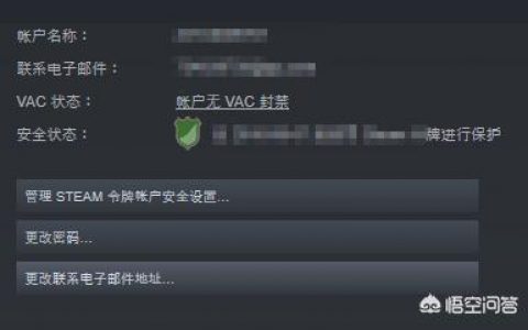steam 賬號(hào) 購(gòu)買-steam賬號(hào)能賣嗎