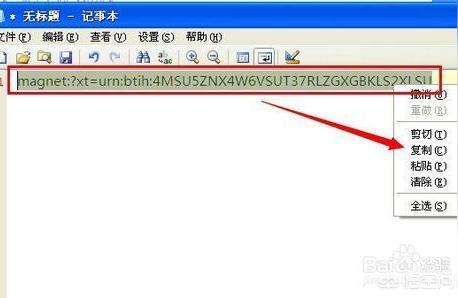 iphone如何下載磁力-蘋果手機如何用迅雷下載80s的電影
