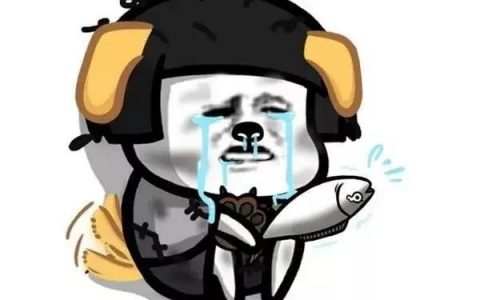 2022款q7報價-2022款奧迪q7有傳奇黑嗎
