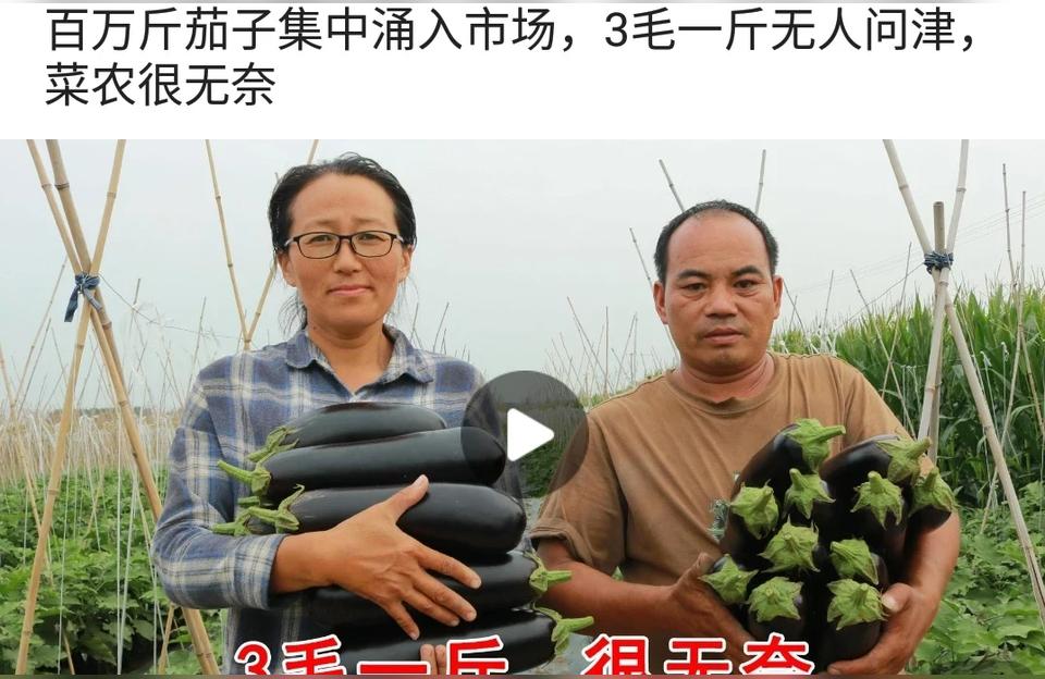 022年茄子市場價格-茄子什么季節的茄子最貴"