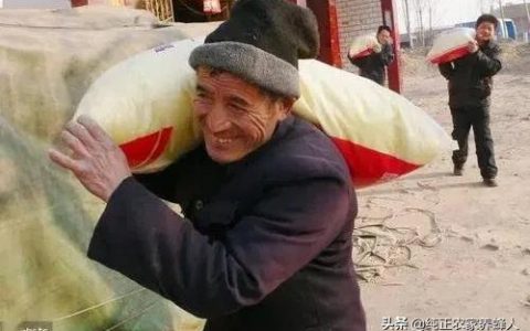 2022年根力多肥價格-2022年摻混肥價格