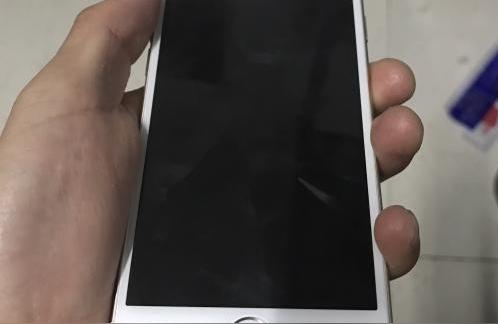 iphone打電話怎么沒網-蘋果手機移動4g網絡為什么一接打電話就沒信號插圖