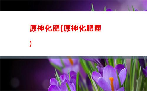 呢原神(up是什么意思呢原神)