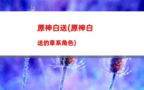 原神hh(原神hh)